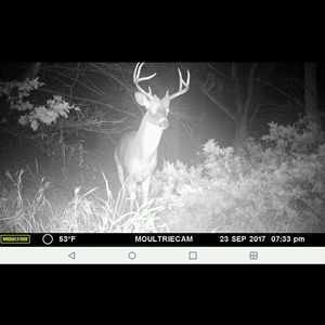 Meet your Posher, Teresa